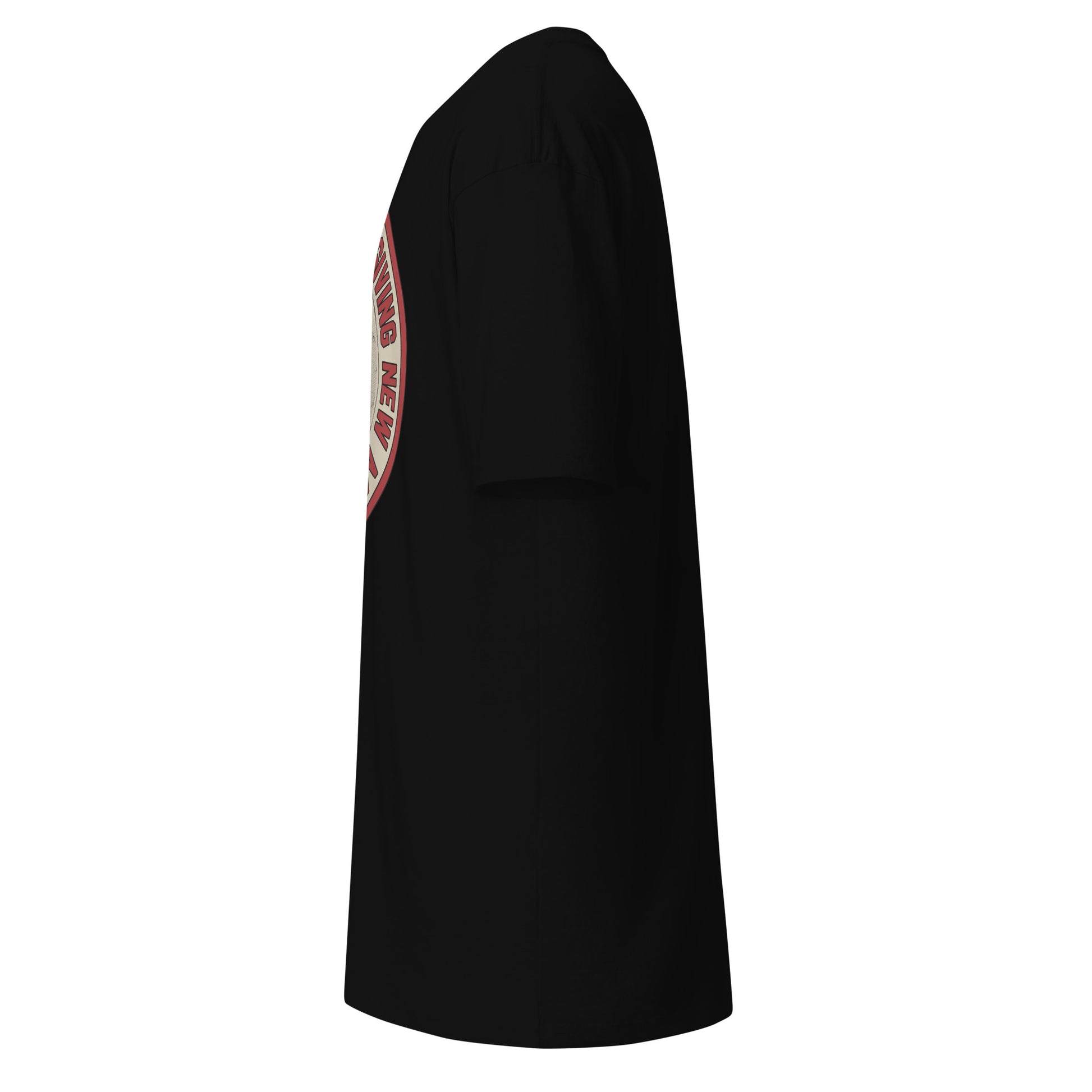 Boston baseball T-shirt display - New Meaning Red Sock