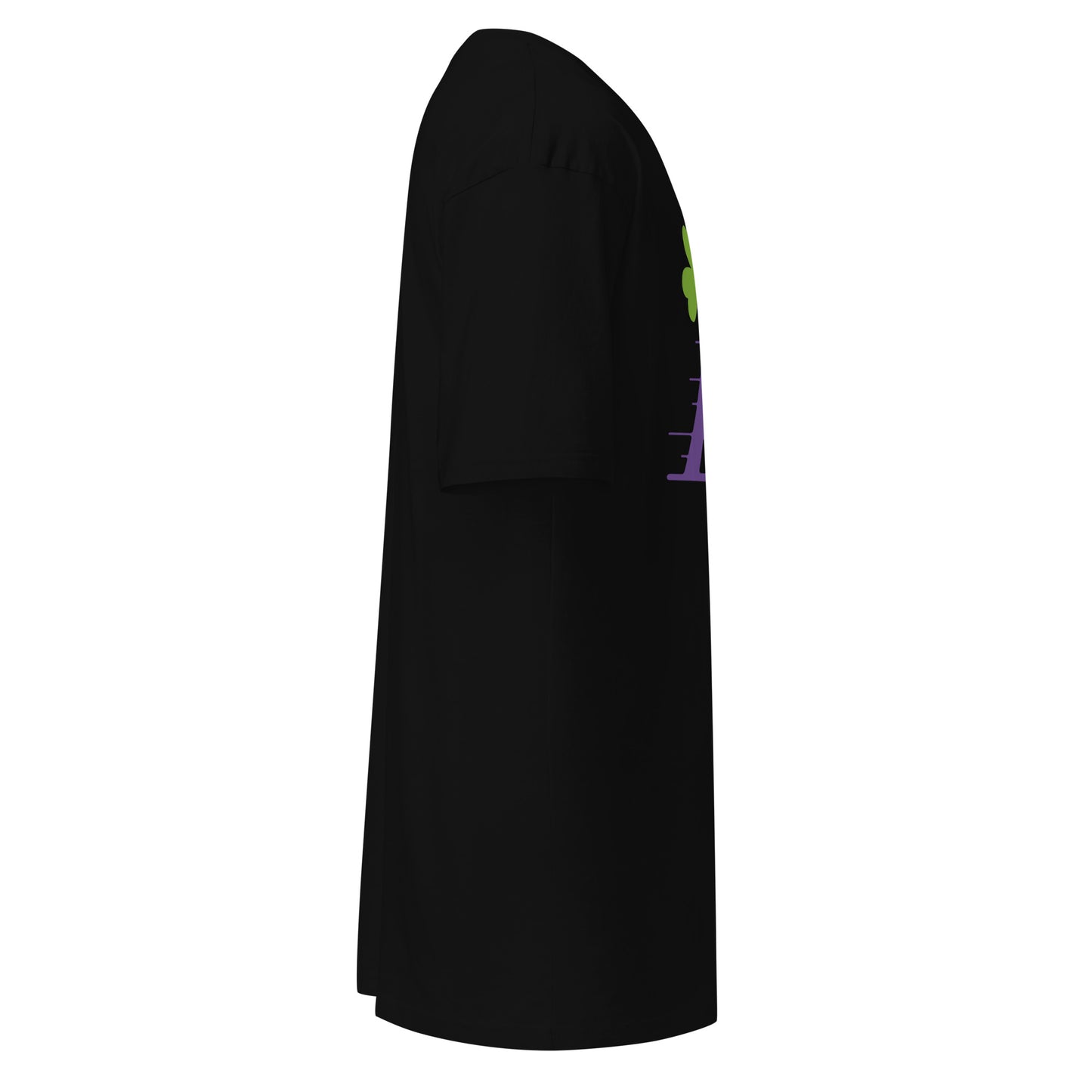 Tony Flintstoni T-shirt display - Boston basketball