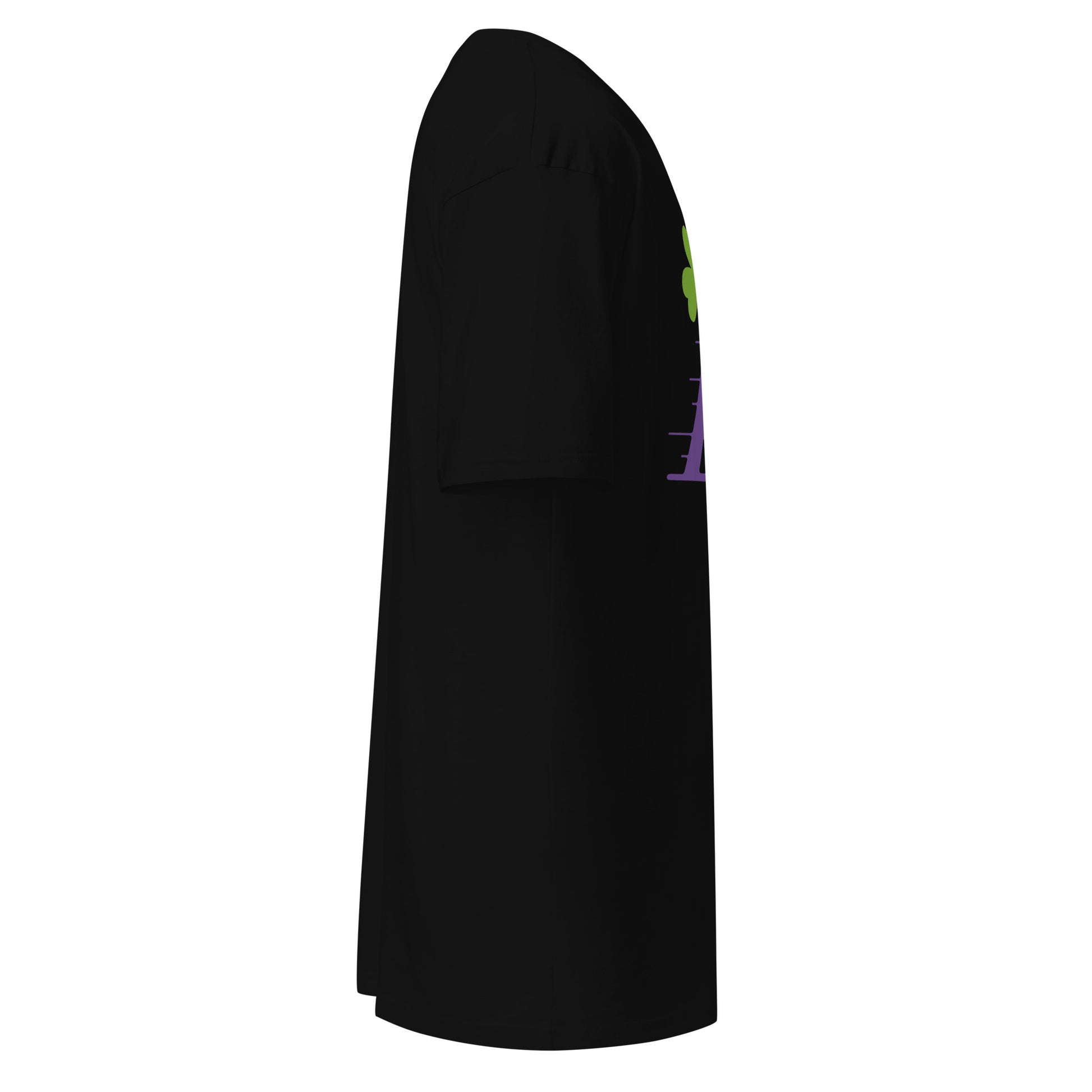 Tony Flintstoni T-shirt display - Boston basketball