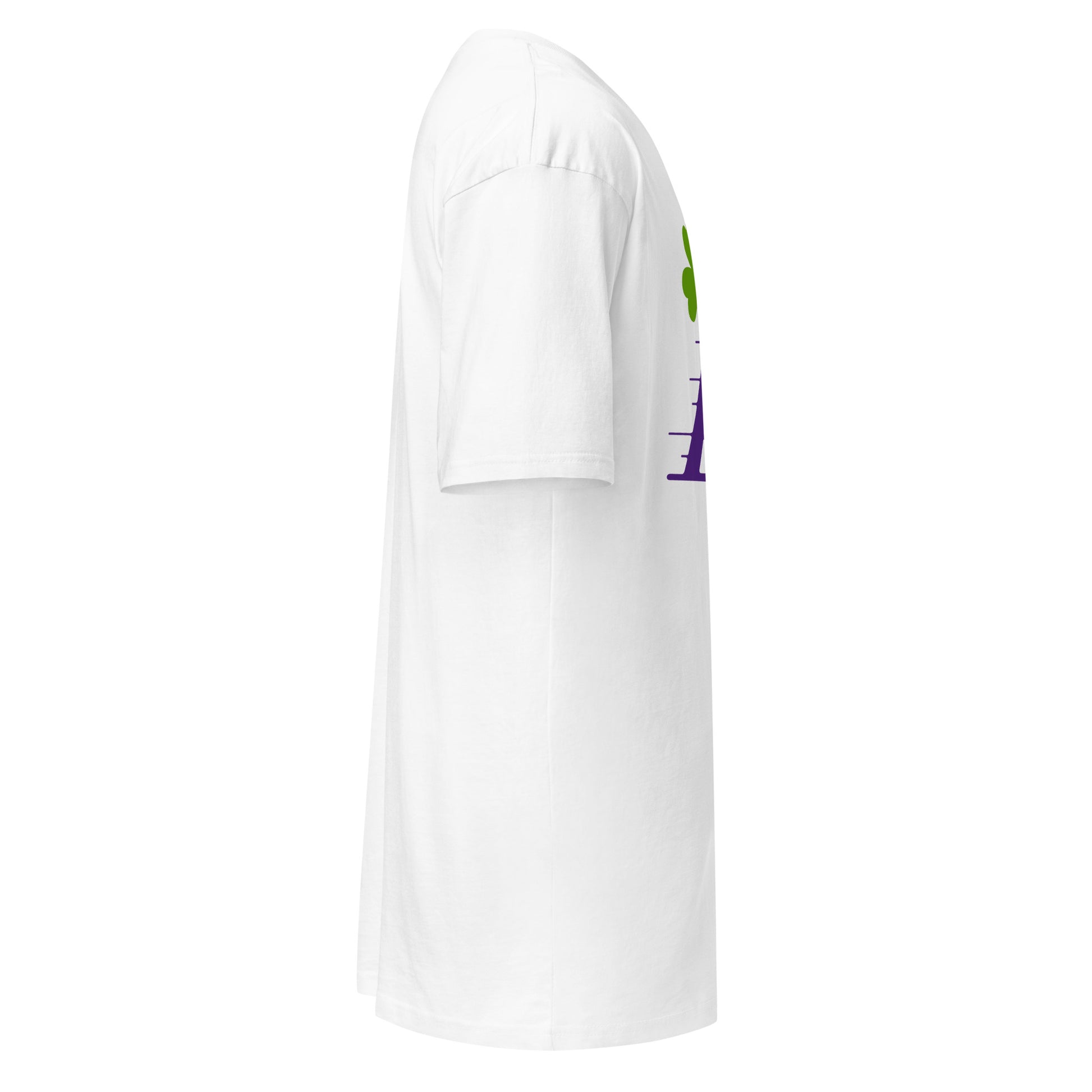 Boston Celtics T-shirt view - Tony Flintstoni